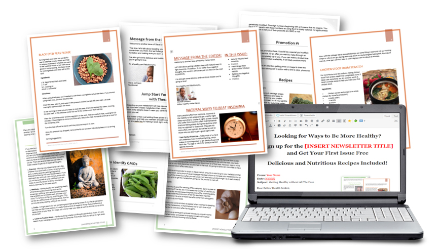 Ready-to-Publish Health Newsletters with PLR Rights